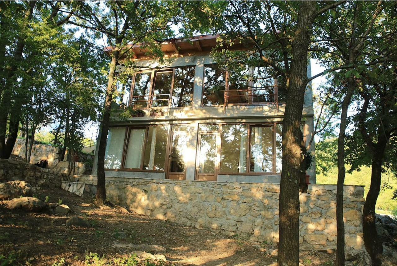 Bed and Breakfast Donkey Farm Martinici - Farma Magaraca Martinici à Danilovgrad Extérieur photo