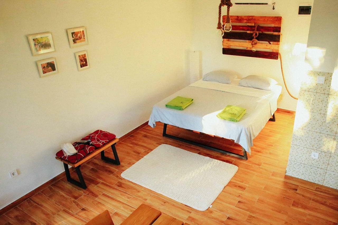Bed and Breakfast Donkey Farm Martinici - Farma Magaraca Martinici à Danilovgrad Extérieur photo