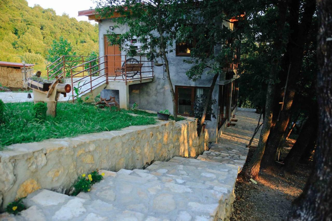 Bed and Breakfast Donkey Farm Martinici - Farma Magaraca Martinici à Danilovgrad Extérieur photo