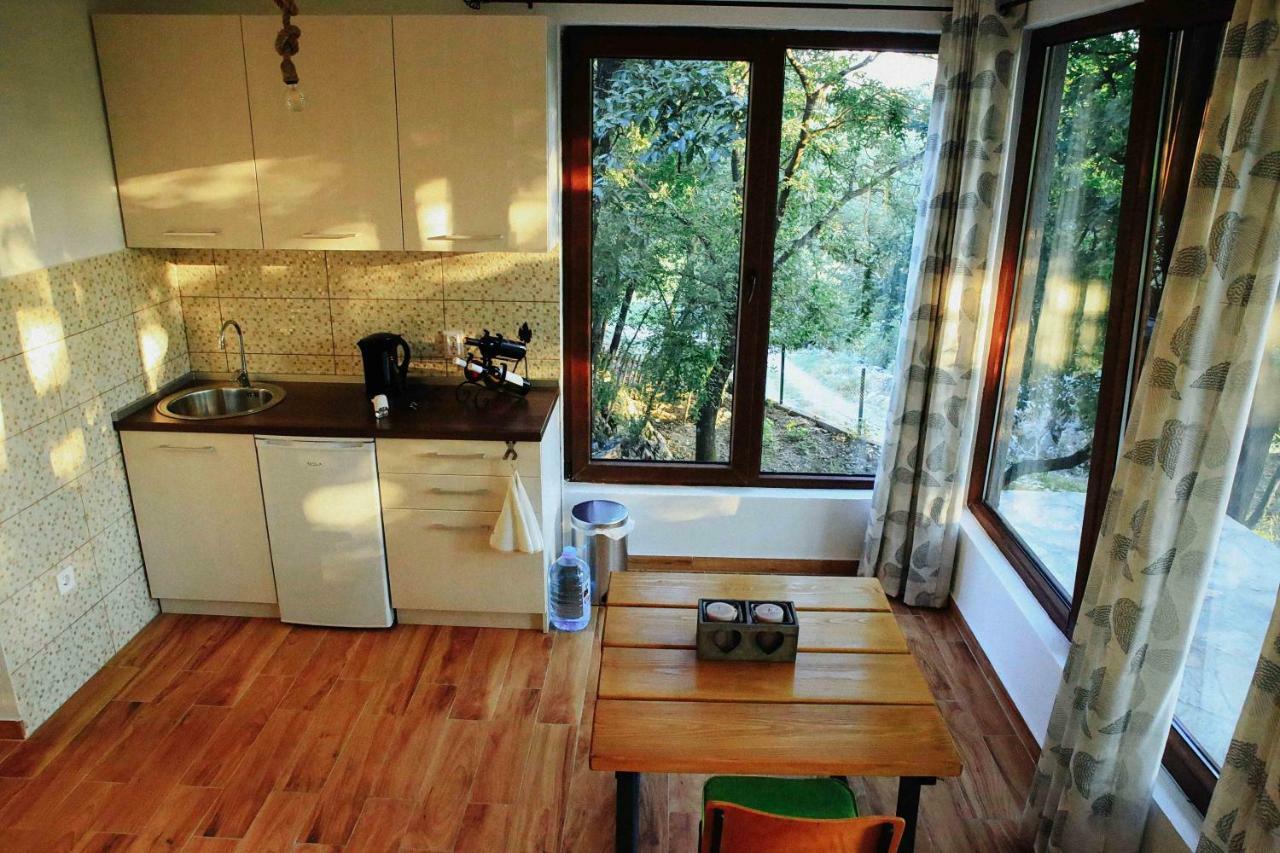 Bed and Breakfast Donkey Farm Martinici - Farma Magaraca Martinici à Danilovgrad Extérieur photo